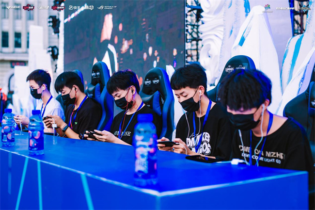 追求冠军宝 追求冠军宝