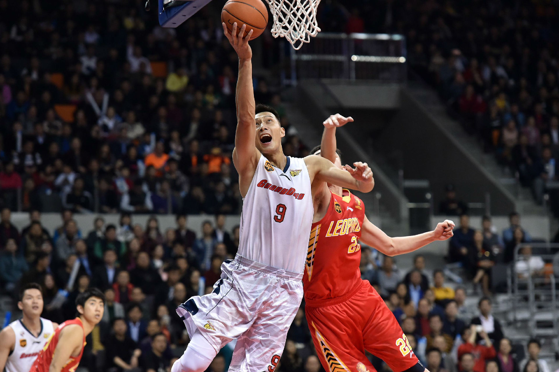 试训选手蜕 试训选手蜕